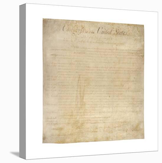 The Bill of Rights-null-Premier Image Canvas