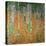 The Birch Wood, 1903-Gustav Klimt-Premier Image Canvas