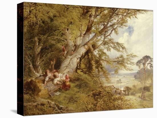 The Bird's Nest (Oil on Canvas)-John Linnell-Premier Image Canvas