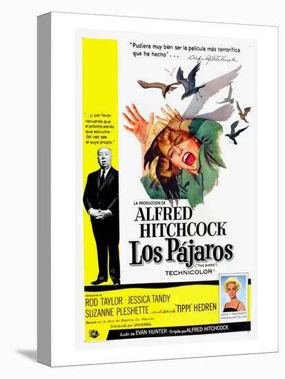 The Birds, (aka Los Pajaros), Alfred Hitchcock, Tippi Hedren, 1963-null-Stretched Canvas