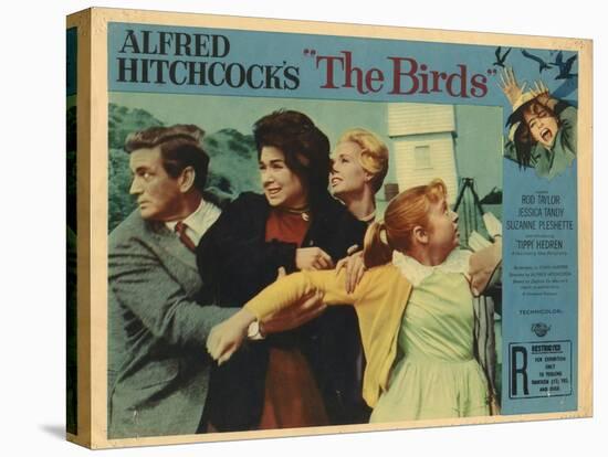The Birds, Lobbycard, L-R: Rod Taylor, Suzanne Pleshette, Tippi Hedren, Veronica CArtwright, 1963-null-Stretched Canvas