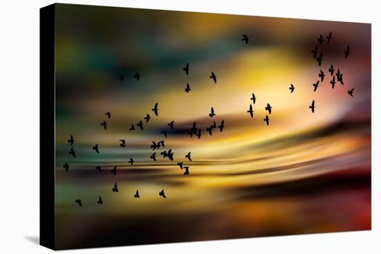 The Birds-Ursula Abresch-Premier Image Canvas