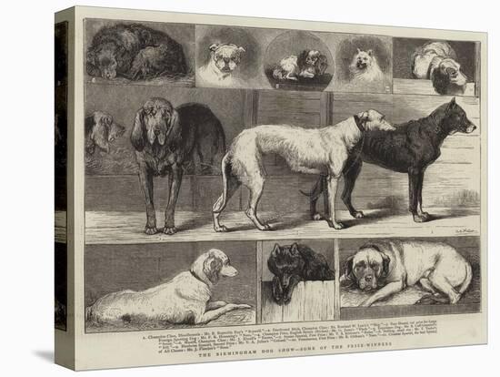 The Birmingham Dog Show, Some of the Prize-Winners-Samuel Edmund Waller-Premier Image Canvas