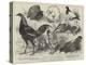 The Birmingham Poultry Show, Prize Birds-Harrison William Weir-Premier Image Canvas