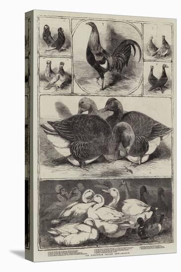 The Birmingham Poultry Show-Harrison William Weir-Premier Image Canvas