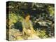 The Black Brook-John Singer Sargent-Premier Image Canvas