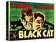 The Black Cat, Boris Karloff, Bela Lugosi, 1934-null-Stretched Canvas