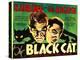 The Black Cat, Boris Karloff, Bela Lugosi, 1934-null-Stretched Canvas