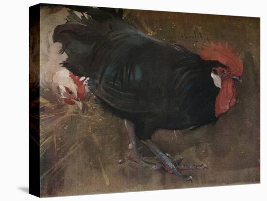 'The Black Cock', c1894-Joseph Crawhall-Premier Image Canvas