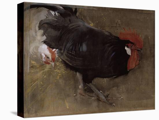 The Black Cock-Joseph Crawhall-Premier Image Canvas