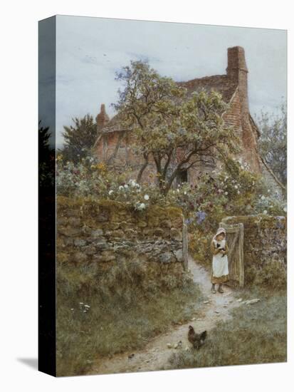 The Black Kitten-Helen Allingham-Premier Image Canvas