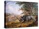 The Black Rhinoceros Charging-Thomas Baines-Premier Image Canvas