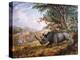 The Black Rhinoceros Charging-Thomas Baines-Premier Image Canvas