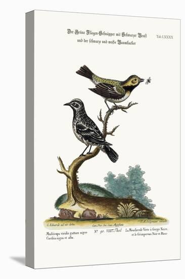 The Black-Throated Green Flycatcher, and the Black and White Creeper, 1749-73-George Edwards-Premier Image Canvas