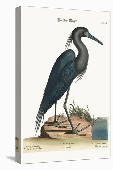 The Blue Heron, 1749-73-Mark Catesby-Premier Image Canvas