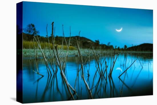 The Blue Lake-Lee Sie-Premier Image Canvas