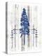 The Blue Moose - Lodge Pole Pine-LightBoxJournal-Premier Image Canvas