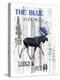 The Blue Moose-LightBoxJournal-Premier Image Canvas