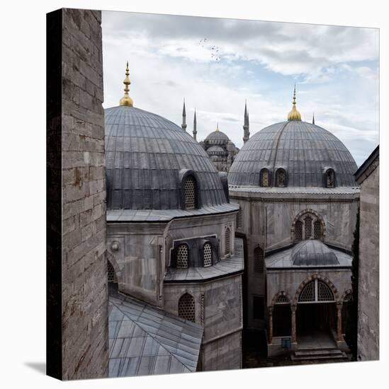 The Blue Mosque Viewed Over the Domes of the Hagia Sophia-Alex Saberi-Premier Image Canvas