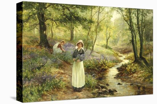 The Bluebell Glade-Ernest Walbourn-Premier Image Canvas