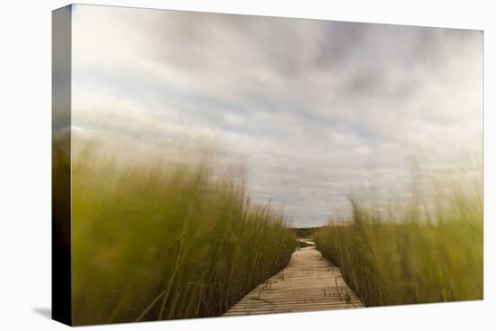 The Boardwalk Through the Tidal Marsh at Mass Audubon's Wellfleet Bay Wildlife Sanctuary-Jerry and Marcy Monkman-Premier Image Canvas