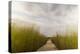 The Boardwalk Through the Tidal Marsh at Mass Audubon's Wellfleet Bay Wildlife Sanctuary-Jerry and Marcy Monkman-Premier Image Canvas