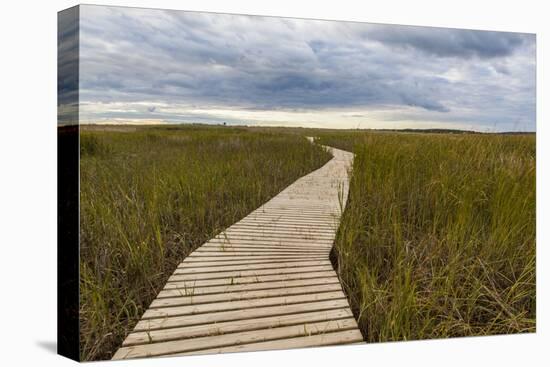 The Boardwalk Through the Tidal Marsh at Mass Audubon's Wellfleet Bay Wildlife Sanctuary-Jerry and Marcy Monkman-Premier Image Canvas