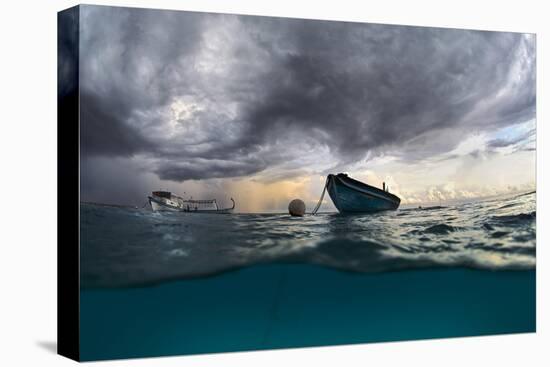 The Boat-Andrey Narchuk-Premier Image Canvas