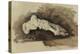 The Bones of a Female Human's Foot (Pencil with W/C and Bodycolour on Paper)-John Ruskin-Premier Image Canvas