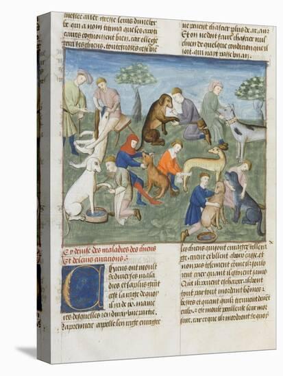 The Book of Gaston Phoebus Hunting in Care for Dogs-null-Premier Image Canvas