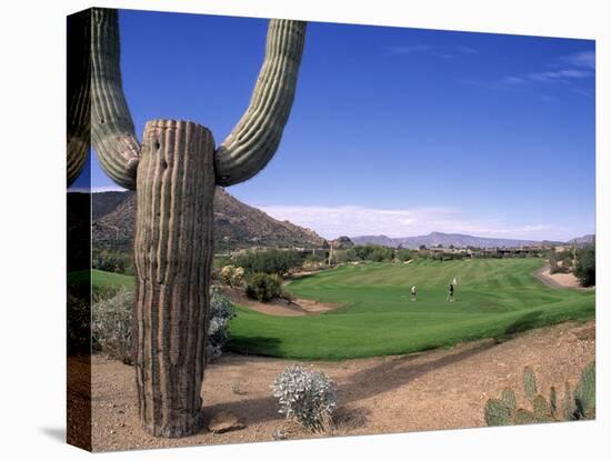 The Boulders Golf Course, Phoenix, AZ-Bill Bachmann-Premier Image Canvas