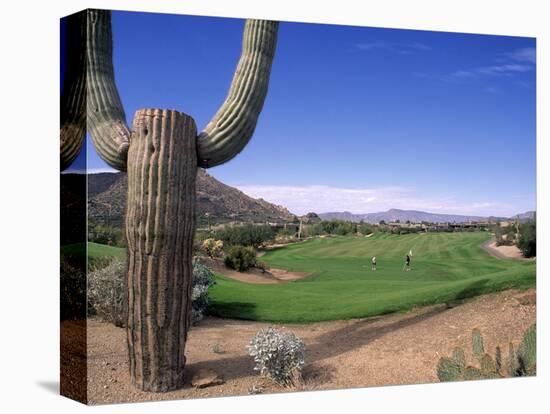 The Boulders Golf Course, Phoenix, AZ-Bill Bachmann-Premier Image Canvas