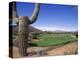 The Boulders Golf Course, Phoenix, AZ-Bill Bachmann-Premier Image Canvas