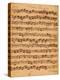The Brandenburger Concertos, No.5 D-Dur, 1721-Johann Sebastian Bach-Premier Image Canvas