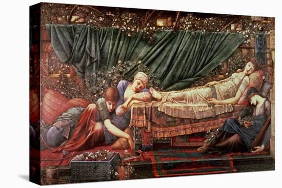 The Briar Rose' Series, 4: the Sleeping Beauty, 1870-90-Edward Burne-Jones-Premier Image Canvas