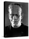 The Bride of Frankenstein, 1935-null-Premier Image Canvas