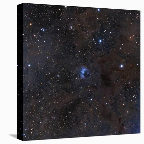 The Bright Star Vdb 16, Dust and Nebulosity in the Constellation Aries-null-Premier Image Canvas