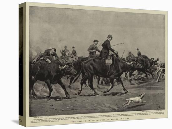 The British in Egypt, Buffalo Racing at Cairo-Frank Dadd-Premier Image Canvas