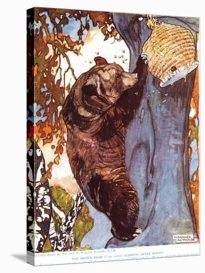 The Brown Bear (Ursus Arctos), Climbing after Honey, Illustration from 'The New Natural History',…-Warwick Reynolds-Premier Image Canvas