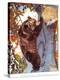 The Brown Bear (Ursus Arctos), Climbing after Honey, Illustration from 'The New Natural History',…-Warwick Reynolds-Premier Image Canvas