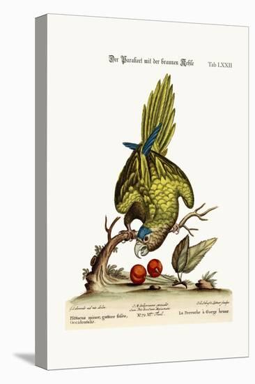 The Brown-Throated Parrakeet, 1749-73-George Edwards-Premier Image Canvas