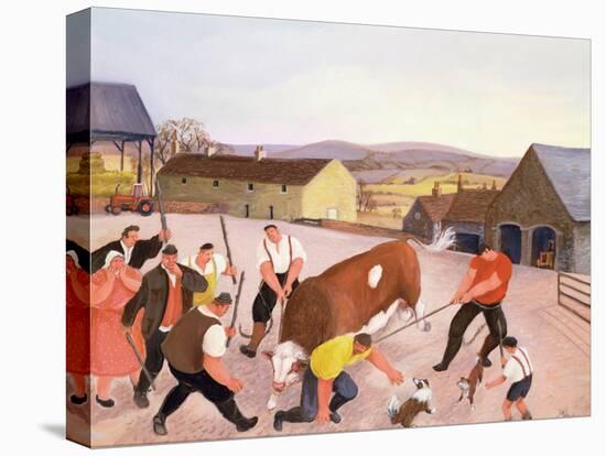 The Bull's Revenge-Margaret Loxton-Premier Image Canvas