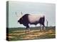 The Bull with Horns-Vincent Haddelsey-Premier Image Canvas