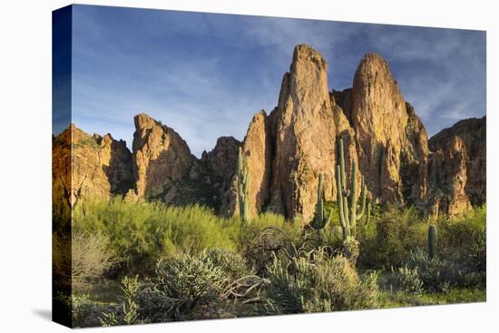 The Bulldogs, Carnegiea Gigantea, Goldfield Mountains, Lower Salt River, Arizona, Usa-Rainer Mirau-Premier Image Canvas