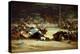 The Bullfight, 18th Century-Francisco de Goya-Premier Image Canvas