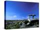 The Burren, Poulnabrone Dolmen, County Clare, Ireland-Marilyn Parver-Premier Image Canvas