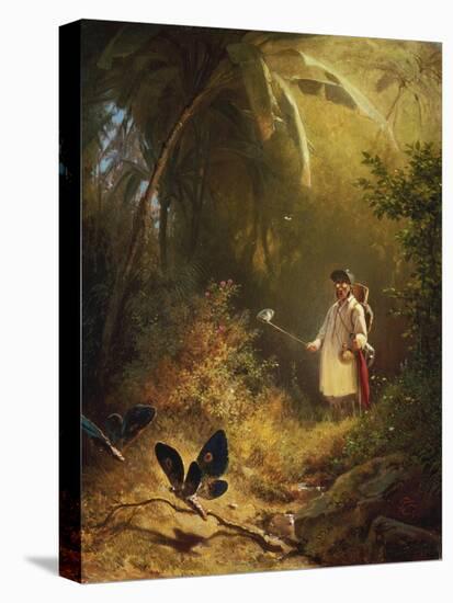 The Butterfly Catcher-Carl Spitzweg-Premier Image Canvas