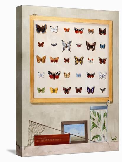 The Butterfly Collector, 2012-13-Rebecca Campbell-Premier Image Canvas