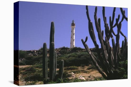 The California Lighthouse with Cactuses Aruba-George Oze-Premier Image Canvas