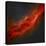 The California Nebula-Stocktrek Images-Premier Image Canvas